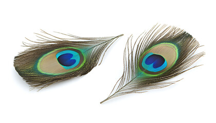 Obraz premium Two beautiful peacock feathers isolated on white