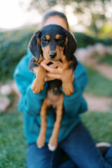 Large puppy in the arms of a young woman sitting on the grass