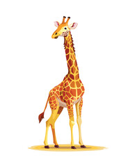 Obraz premium giraffe on white background