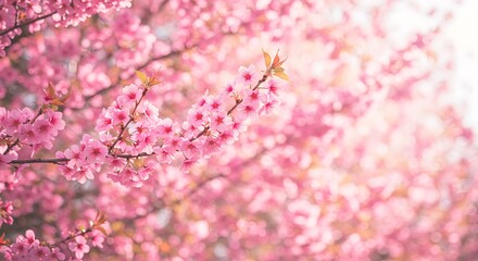 Fototapeta premium Pink Blossom Dream: Soft Focus Photography AI Generated