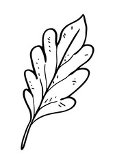 Simple clip art illustration of an oak leaf, featuring a clean black and white outline design.