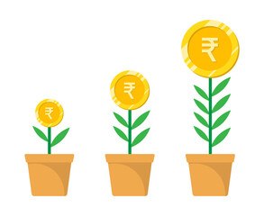 Rupee money plant investment growth with leaves, pot and dollar gold coin vector illustration.
