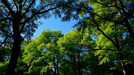 Obraz premium Nature of beautiful trees as cover page background, created by generative ai