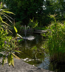 A peaceful park with a pond filled with clear water and a small fountain creating gentle sprays of water.