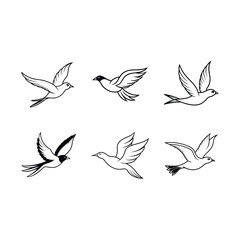 Obraz premium bird-in-flight--vector on white background,Instant Digital Download.
