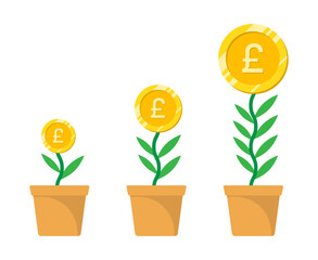 Pound money plant investment growth illustration with leaves, pot and dollar gold coin.