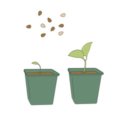 sprout in a seedling cup and seeds