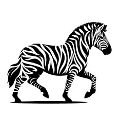 A beautiful black and white zebra