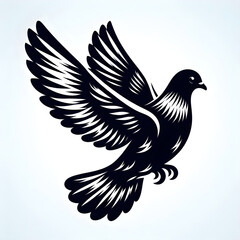 A beautiful black and white pigeon