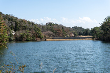 日本の岡山県玉野市の深山公園の満開の桜