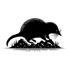 A beautiful black and white mouse