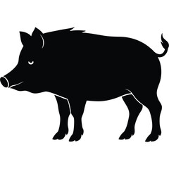 Fototapeta premium Pig vector silhouette Single collection 