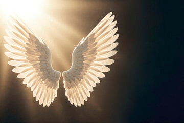 Glowing angelic wings in golden glow. Space for text.