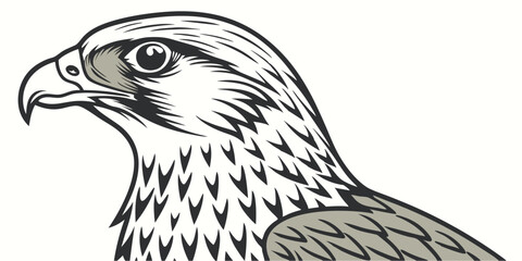 Vector Illustration of a Majestic Hawk Bird in Monochrome Style