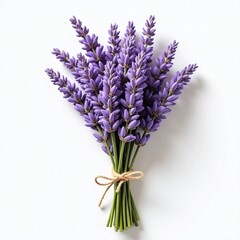 Obraz premium Lavender bouquet. Close-up of lavender flowers tied into a small bouquet with a light background.