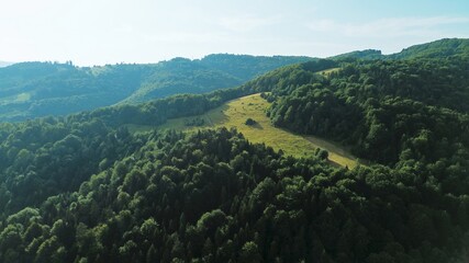 Mountainous landscape with green hills and dense forest