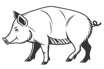 About a Minimalist Pig Vector