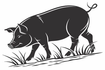 About a Minimalist Pig Vector