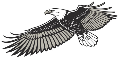 Elegant Eagle Vector Design for Wildlife and Nature Illustrations