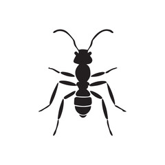 Vector illustration of various insects including a bug, wasp, beetle, and mosquito in black and white, with detailed close-up of wings and antenna on a white background