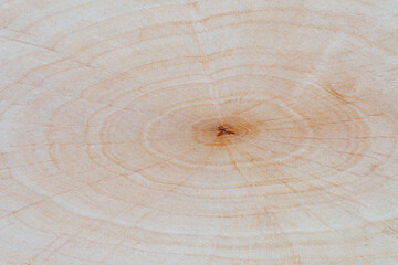 Light natural wood texture with visible grain and knots, wooden surface background for design and print