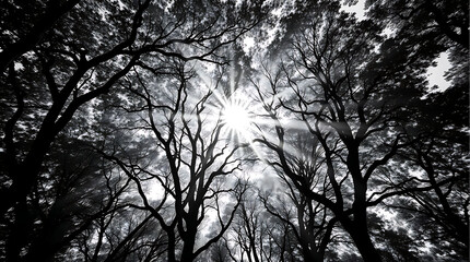 Fototapeta premium Nature of beautiful trees as cover page background, created by generative ai
