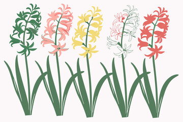 set of Hyacinths flower silhouette vector illustration