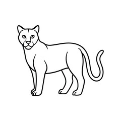 ocelot line art illustration on white-background