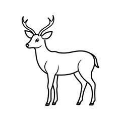 Fototapeta premium deer line art illustration on white background
