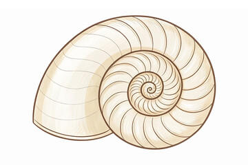 Detailed Spiral Nautilus Shell Vector Illustration with Elegant Lines Perfect for Marine Designs