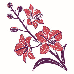 Orchid Flower silhouette vector illustration