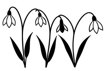 set of snowdrop flower silhouette vector illustration