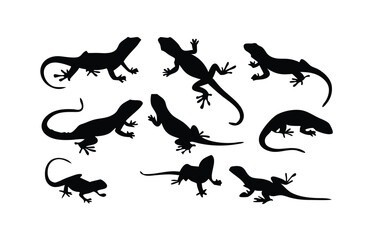Lizard Silhouette Vector Set: Crawling and Climbing Reptile Icons in Black on White Background. Adobe Illustrator Artwork