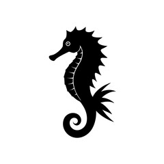 black and white seahorse