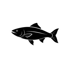 fish isolated on white background