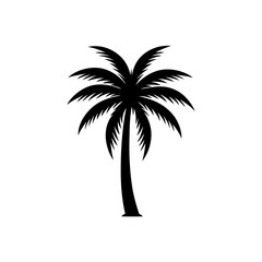 Obraz premium palm tree silhouette