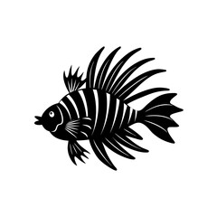 fish on a black background