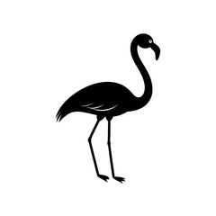 flamingo silhouette isolated on white