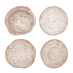 Fototapeta premium Wood cross section set with tree rings and texture
