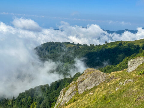 misty forest hills, rolling forested hills covered in low-hanging clouds create a misty, serene atmosphere under a clear blue sky