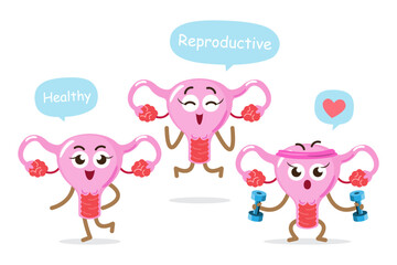 Healthy female reproductive system . Uterus cartoon characters . Isolated white background . Vector .