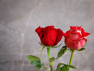 Czerwone róże na tle marmuru. © Janusz Lipiński