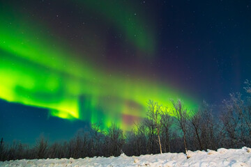 Northern Lights or Aurora Borealis on a winter night. Vibrant  colors shimmer in the starry sky.