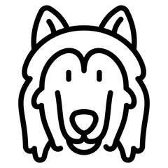 Fototapeta premium Collie