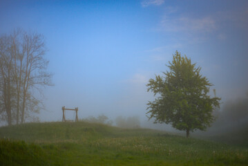 Countryside in a fog 