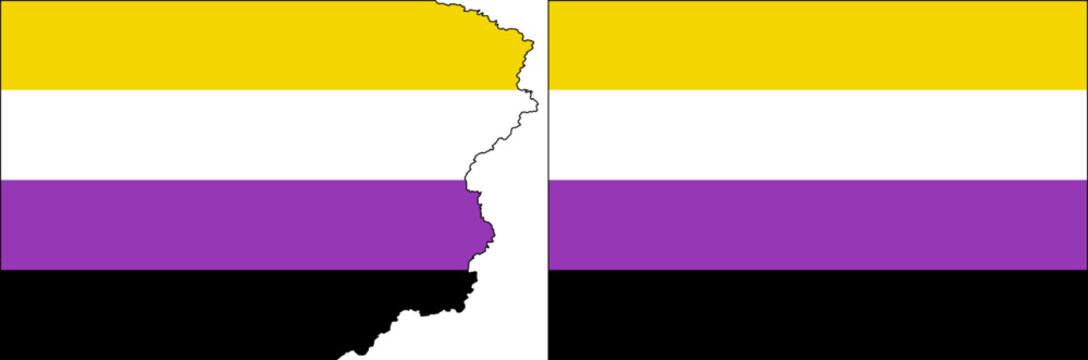 Non-binary Pride Flags vector. Standard flag and with torn edges