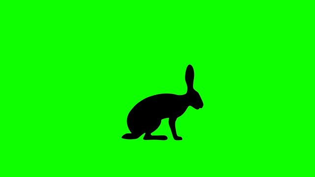 A hare bending down to eat, animation on the green background (seamless loop)