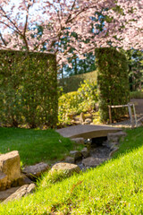 A small bridge is over a stream in a park. The bridge is made of stone and is surrounded by bushes. The bushes are green and are located on both sides of the stream