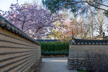 A stone wall with a path in front of it. The path is lined with bushes and trees