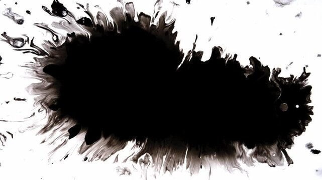 This artwork features dynamic black ink splashes beautifully contrasted against a white background